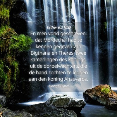 Picture 04 - Esther 6:2 NLD - En men vond geschreven, dat Mordechai had te - Bible Verse Picture