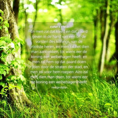 Picture 04 - Esther 6:9 NLD - En men zal dat kleed en dat paard geven in de - Bible Verse Picture