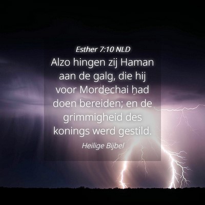 Picture 04 - Esther 7:10 NLD - Alzo hingen zij Haman aan de galg, die hij voor - Bible Verse Picture