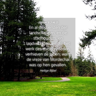 Picture 04 - Esther 9:3 NLD - En al de oversten der landschappen, en de - Bible Verse Picture
