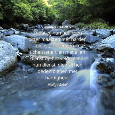 Picture 04 - Exodus 1:14 NLD - Zodat zij hun het leven bitter maakten met harden - Bible Verse Picture