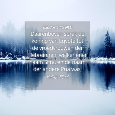 Picture 04 - Exodus 1:15 NLD - Daarenboven sprak de koning van Egypte tot de - Bible Verse Picture