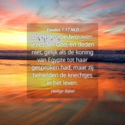 Picture 04 - Exodus 1:17 NLD - Doch de vroedvrouwen vreesden God, en deden niet, - Bible Verse Picture