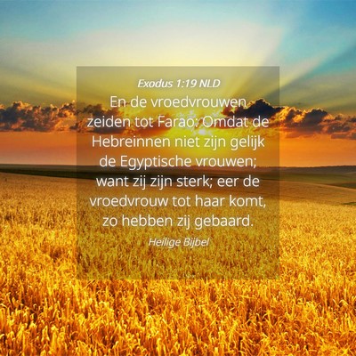 Picture 04 - Exodus 1:19 NLD - En de vroedvrouwen zeiden tot Farao: Omdat de - Bible Verse Picture