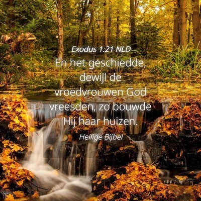 Picture 04 - Exodus 1:21 NLD - En het geschiedde, dewijl de vroedvrouwen God - Bible Verse Picture
