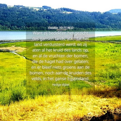 Picture 04 - Exodus 10:15 NLD - Want zij bedekten het gezicht des gansen lands, - Bible Verse Picture