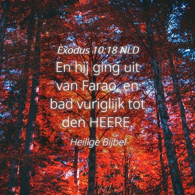 Picture 04 - Exodus 10:18 NLD - En hij ging uit van Farao, en bad vuriglijk tot - Bible Verse Picture