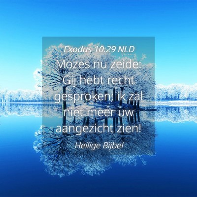 Picture 04 - Exodus 10:29 NLD - Mozes nu zeide: Gij hebt recht gesproken; ik zal - Bible Verse Picture
