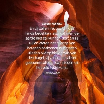 Picture 04 - Exodus 10:5 NLD - En zij zullen het gezicht des lands bedekken, - Bible Verse Picture