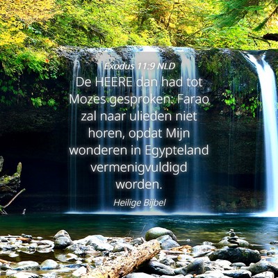 Picture 04 - Exodus 11:9 NLD - De HEERE dan had tot Mozes gesproken: Farao zal - Bible Verse Picture