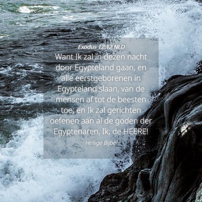 Picture 04 - Exodus 12:12 NLD - Want Ik zal in dezen nacht door Egypteland gaan, - Bible Verse Picture