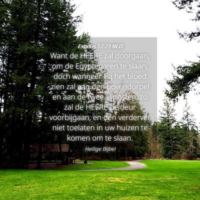 Picture 04 - Exodus 12:23 NLD - Want de HEERE zal doorgaan, om de Egyptenaren te - Bible Verse Picture