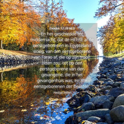 Picture 04 - Exodus 12:29 NLD - En het geschiedde ter middernacht, dat de HEERE - Bible Verse Picture