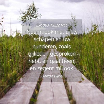 Picture 04 - Exodus 12:32 NLD - Neemt ook met u uw schapen en uw runderen, zoals - Bible Verse Picture