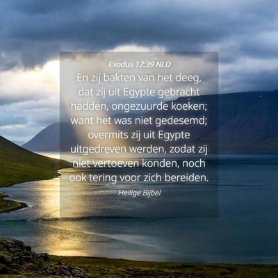 Picture 04 - Exodus 12:39 NLD - En zij bakten van het deeg, dat zij uit Egypte - Bible Verse Picture