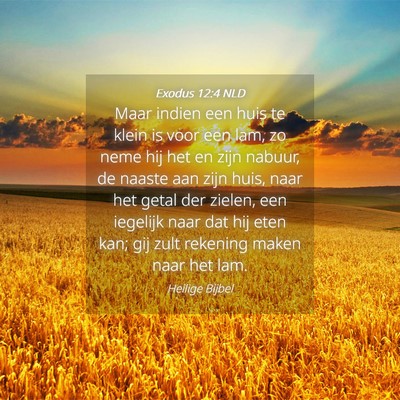 Picture 04 - Exodus 12:4 NLD - Maar indien een huis te klein is voor een lam, zo - Bible Verse Picture