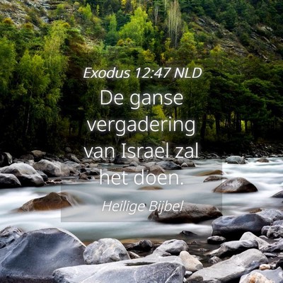 Picture 04 - Exodus 12:47 NLD - De ganse vergadering van Israel zal het - Bible Verse Picture
