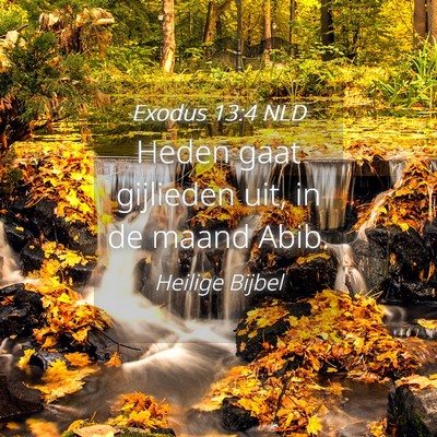 Picture 04 - Exodus 13:4 NLD - Heden gaat gijlieden uit, in de maand - Bible Verse Picture