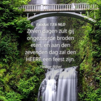 Picture 04 - Exodus 13:6 NLD - Zeven dagen zult gij ongezuurde broden eten, en - Bible Verse Picture