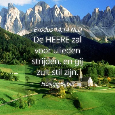 Picture 04 - Exodus 14:14 NLD - De HEERE zal voor ulieden strijden, en gij zult - Bible Verse Picture