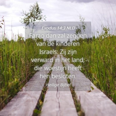 Picture 04 - Exodus 14:3 NLD - Farao dan zal zeggen van de kinderen Israels: Zij - Bible Verse Picture