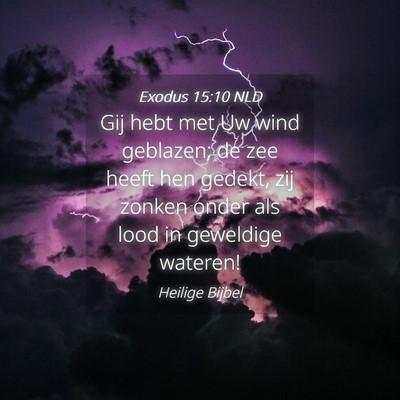 Picture 04 - Exodus 15:10 NLD - Gij hebt met Uw wind geblazen; de zee heeft hen - Bible Verse Picture
