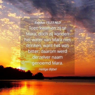 Picture 04 - Exodus 15:23 NLD - Toen kwamen zij te Mara; doch zij konden het - Bible Verse Picture