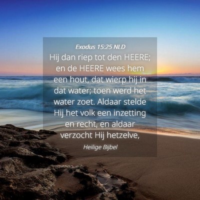 Picture 04 - Exodus 15:25 NLD - Hij dan riep tot den HEERE; en de HEERE wees hem - Bible Verse Picture