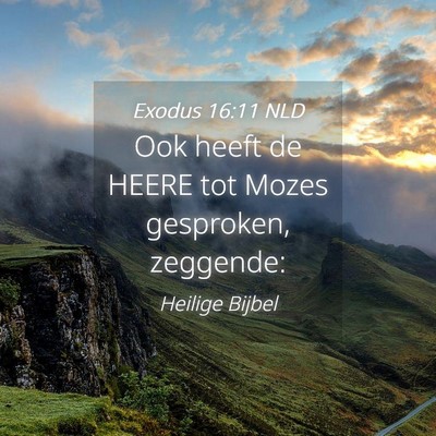 Picture 04 - Exodus 16:11 NLD - Ook heeft de HEERE tot Mozes gesproken, - Bible Verse Picture