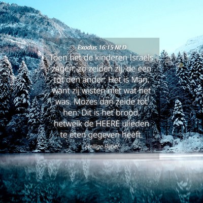 Picture 04 - Exodus 16:15 NLD - Toen het de kinderen Israels zagen, zo zeiden - Bible Verse Picture