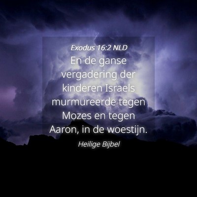 Picture 04 - Exodus 16:2 NLD - En de ganse vergadering der kinderen Israels - Bible Verse Picture