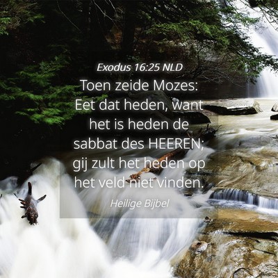 Picture 04 - Exodus 16:25 NLD - Toen zeide Mozes: Eet dat heden, want het is - Bible Verse Picture