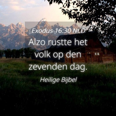 Picture 04 - Exodus 16:30 NLD - Alzo rustte het volk op den zevenden - Bible Verse Picture