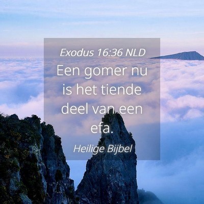 Picture 04 - Exodus 16:36 NLD - Een gomer nu is het tiende deel van een - Bible Verse Picture