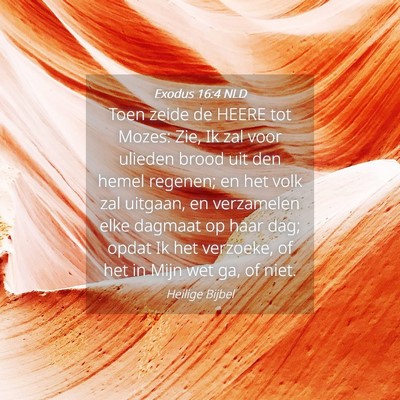 Picture 04 - Exodus 16:4 NLD - Toen zeide de HEERE tot Mozes: Zie, Ik zal voor - Bible Verse Picture