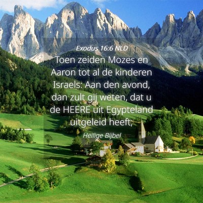 Picture 04 - Exodus 16:6 NLD - Toen zeiden Mozes en Aaron tot al de kinderen - Bible Verse Picture