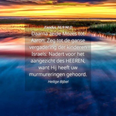 Picture 04 - Exodus 16:9 NLD - Daarna zeide Mozes tot Aaron: Zeg tot de ganse - Bible Verse Picture