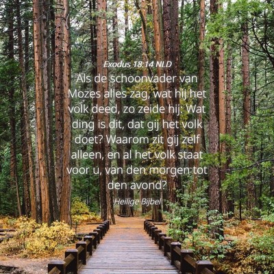 Picture 04 - Exodus 18:14 NLD - Als de schoonvader van Mozes alles zag, wat hij - Bible Verse Picture