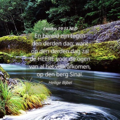 Picture 04 - Exodus 19:11 NLD - En bereid zijn tegen den derden dag; want op den - Bible Verse Picture