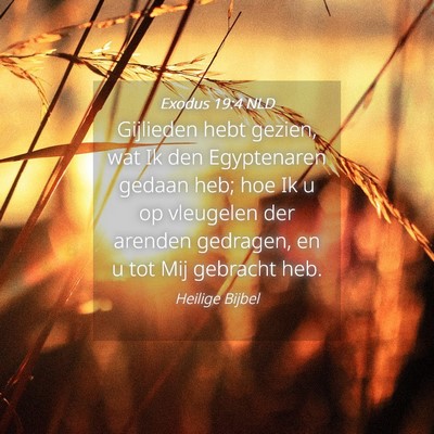 Picture 04 - Exodus 19:4 NLD - Gijlieden hebt gezien, wat Ik den Egyptenaren - Bible Verse Picture