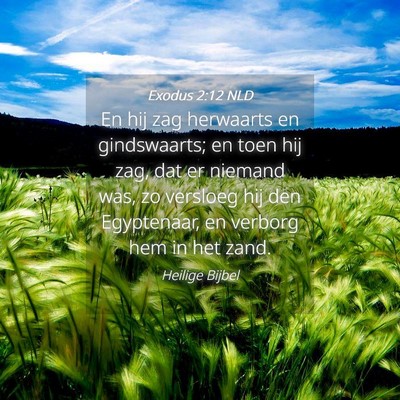 Picture 04 - Exodus 2:12 NLD - En hij zag herwaarts en gindswaarts; en toen hij - Bible Verse Picture