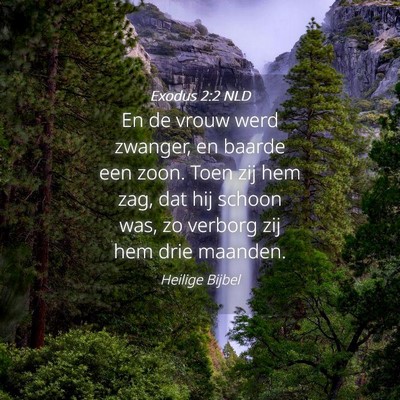 Picture 04 - Exodus 2:2 NLD - En de vrouw werd zwanger, en baarde een zoon. - Bible Verse Picture