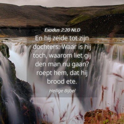 Picture 04 - Exodus 2:20 NLD - En hij zeide tot zijn dochters: Waar is hij toch, - Bible Verse Picture