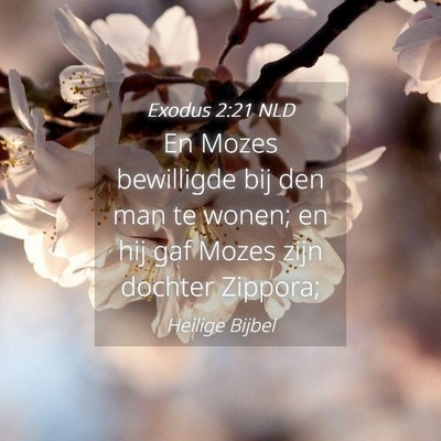 Picture 04 - Exodus 2:21 NLD - En Mozes bewilligde bij den man te wonen; en hij - Bible Verse Picture
