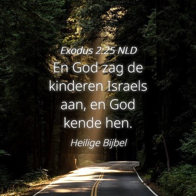 Picture 04 - Exodus 2:25 NLD - En God zag de kinderen Israels aan, en God kende - Bible Verse Picture