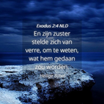 Picture 04 - Exodus 2:4 NLD - En zijn zuster stelde zich van verre, om te - Bible Verse Picture