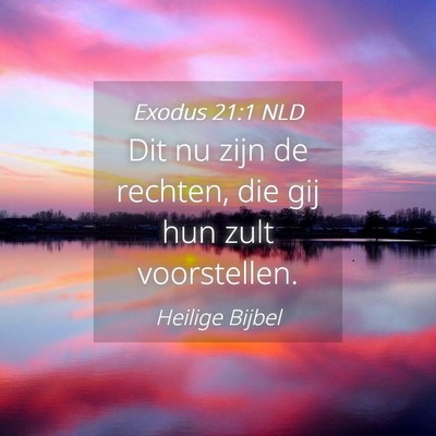Picture 04 - Exodus 21:1 NLD - Dit nu zijn de rechten, die gij hun zult - Bible Verse Picture