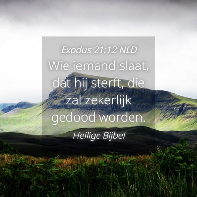 Picture 04 - Exodus 21:12 NLD - Wie iemand slaat, dat hij sterft, die zal - Bible Verse Picture