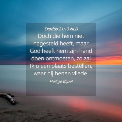 Picture 04 - Exodus 21:13 NLD - Doch die hem niet nagesteld heeft, maar God heeft - Bible Verse Picture