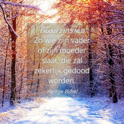 Picture 04 - Exodus 21:15 NLD - Zo wie zijn vader of zijn moeder slaat, die zal - Bible Verse Picture